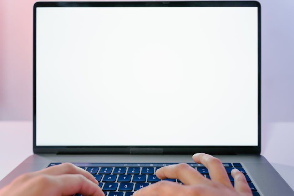 Agence digitale Perpignan : web et marketing en Catalogne française